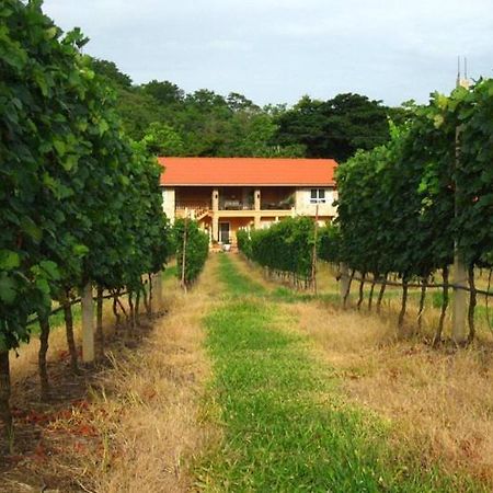 Granmonte Wine Cottage Phayayen Exterior foto
