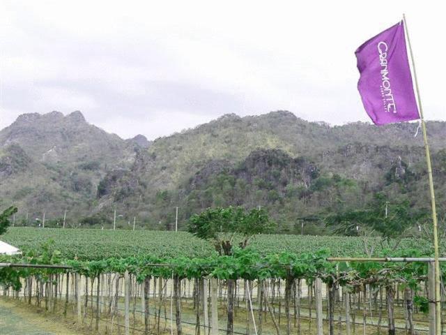 Granmonte Wine Cottage Phayayen Exterior foto