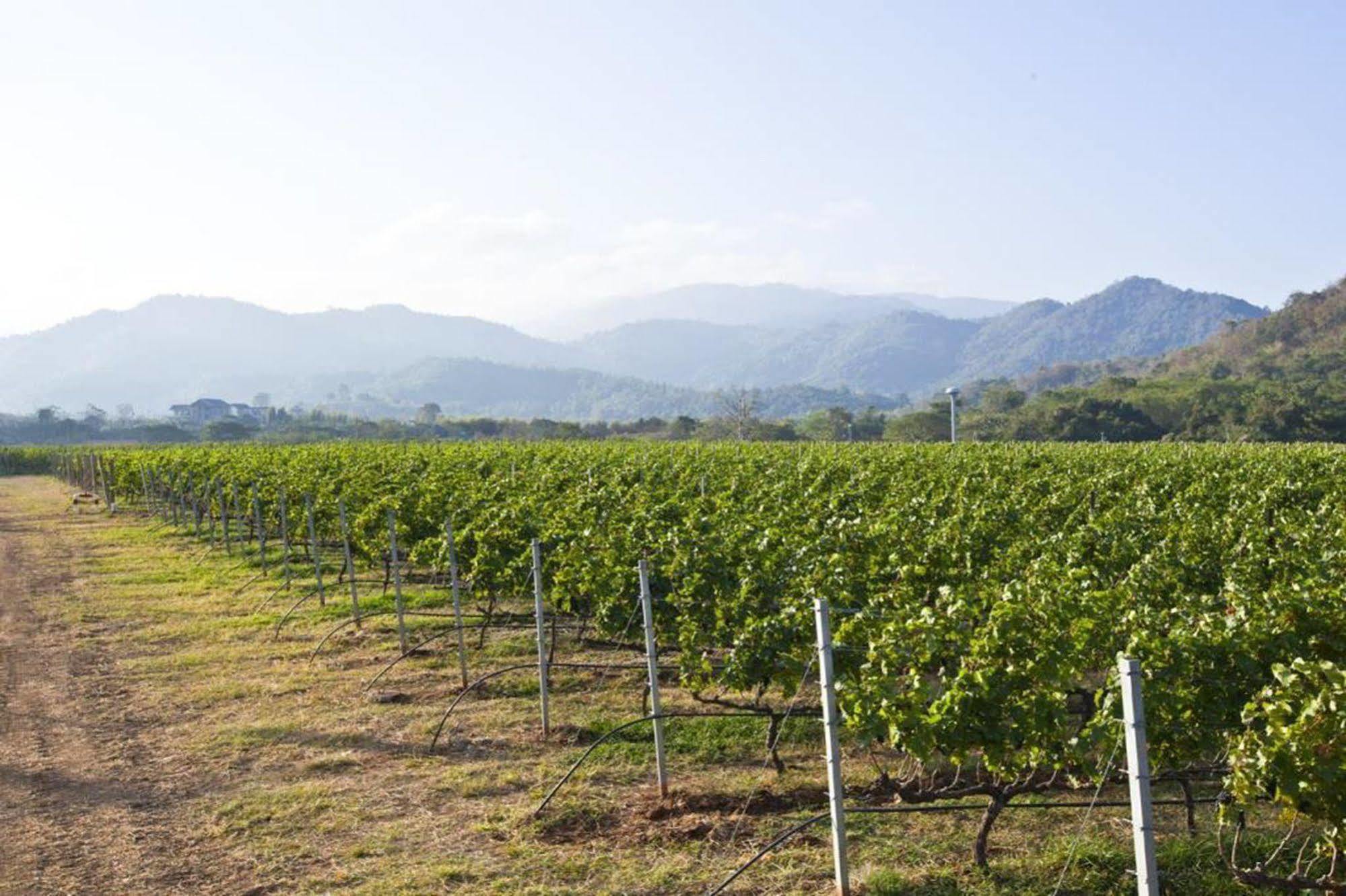 Granmonte Wine Cottage Phayayen Exterior foto