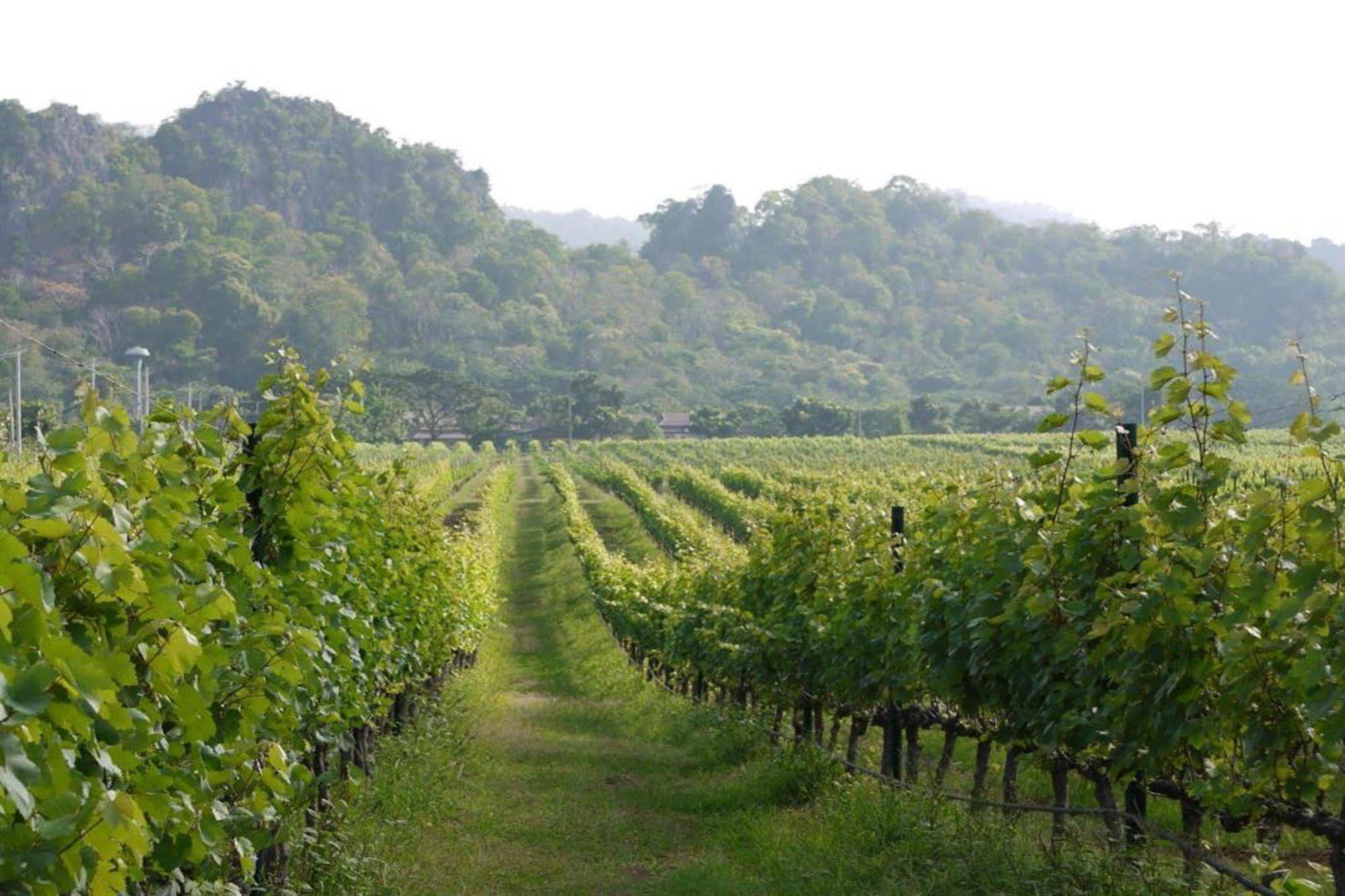 Granmonte Wine Cottage Phayayen Exterior foto